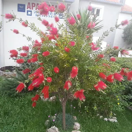 Beachfront Filip Appartement *